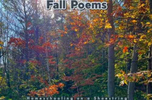 Fall Poems