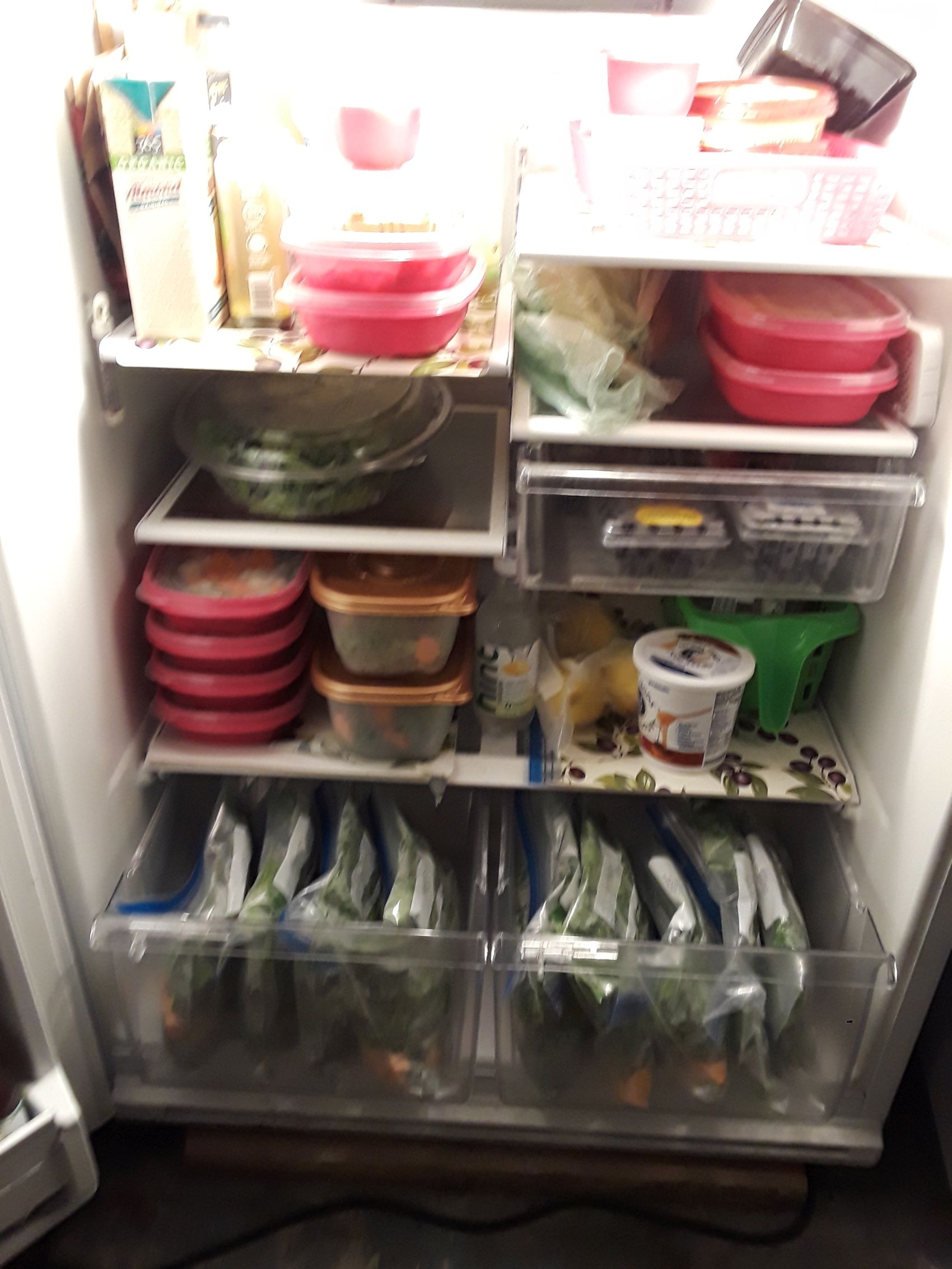 Full Fridge of Prepped Meals May 19 2019