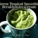 Green Tropical Smoothie Breakfast Ice Cream