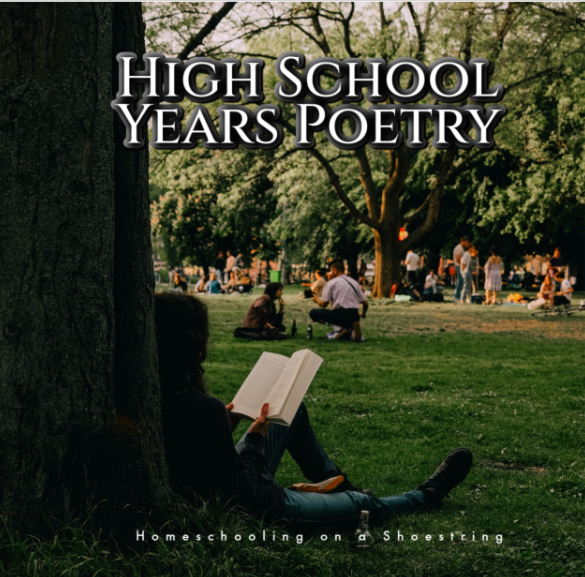 High School Years Poetry