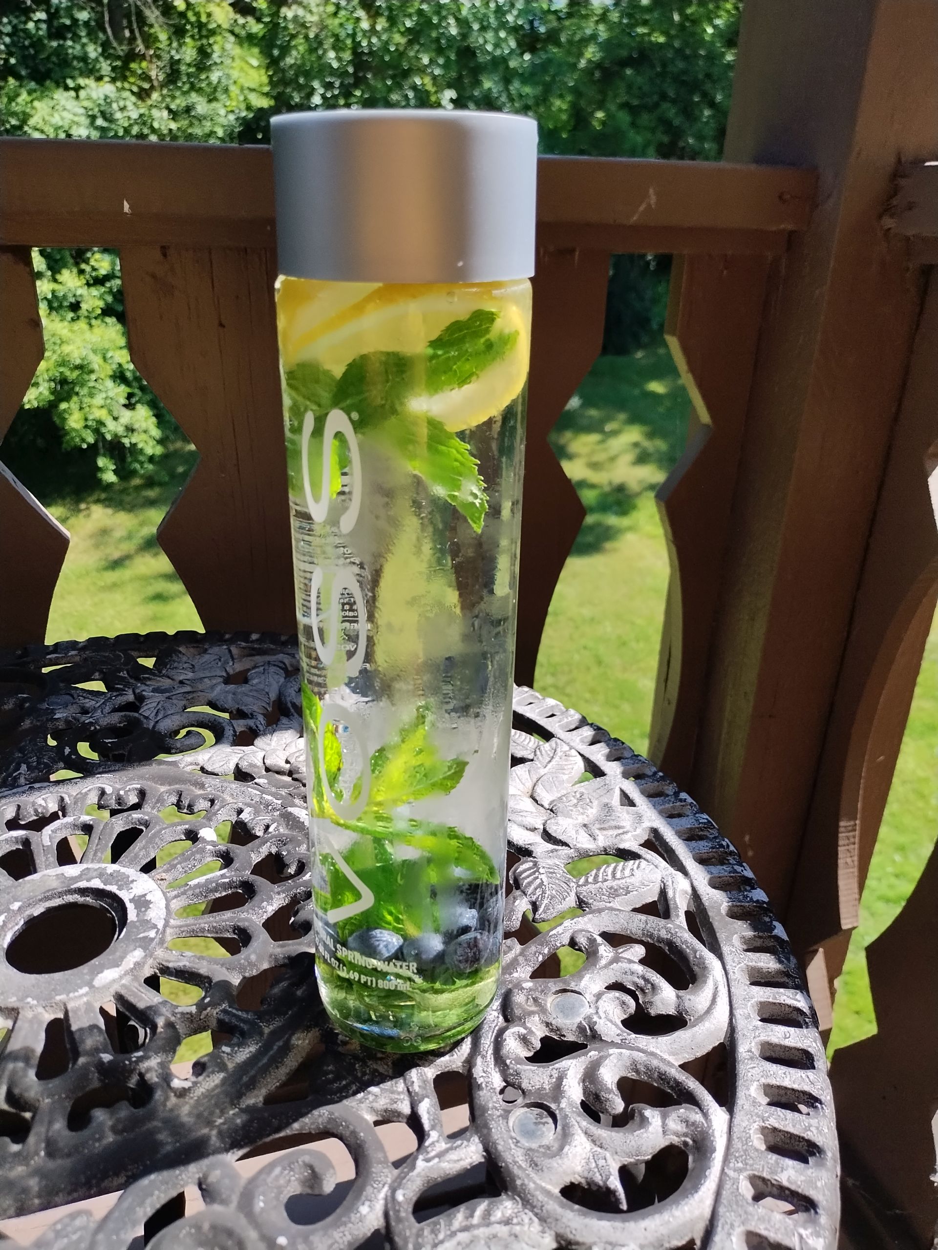 Lemon Blueberry Mint Infused Water