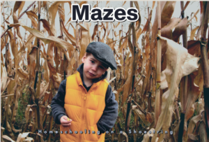 Mazes