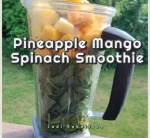 Pineapple Mango Spinach Smoothie with Sunwarrior Boosts