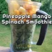 Pineapple Mango Spinach Smoothie with Sunwarrior Boosts