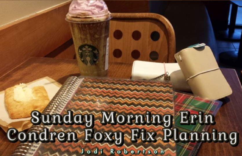 Sunday Morning Erin Condren Foxy Fix Planning