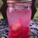 Raspberry Ginger Infused Water