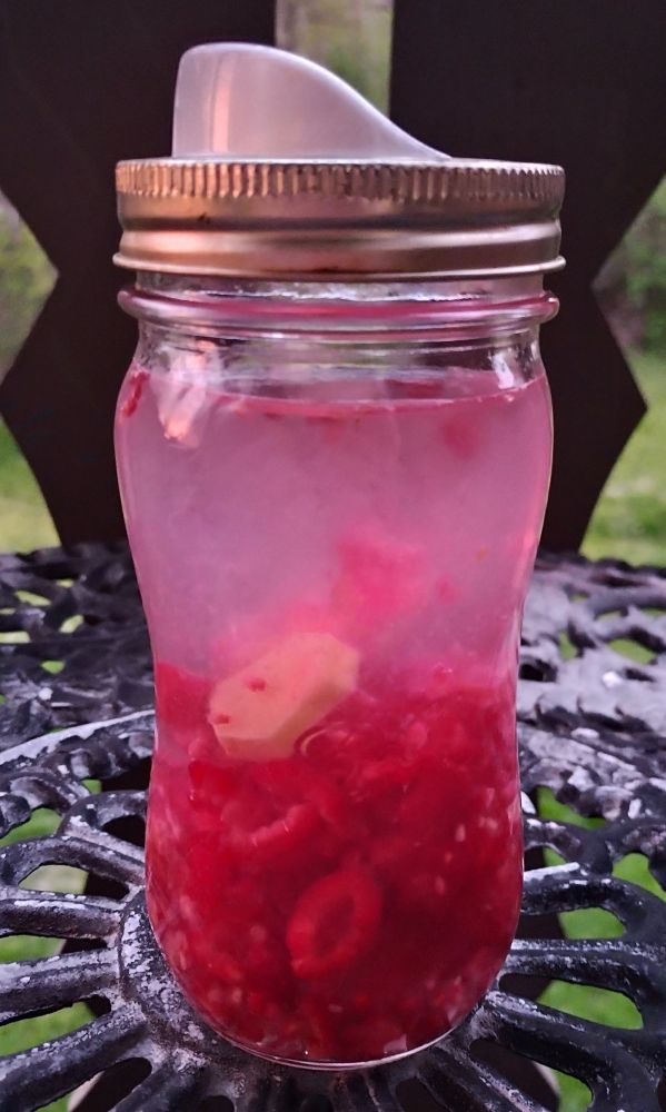 Raspberry Ginger Infused Water