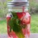 Strawberry Mint Infused Water