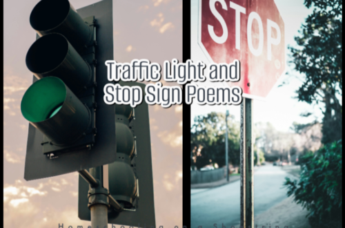 Traffic Light and Stop Sign Poems