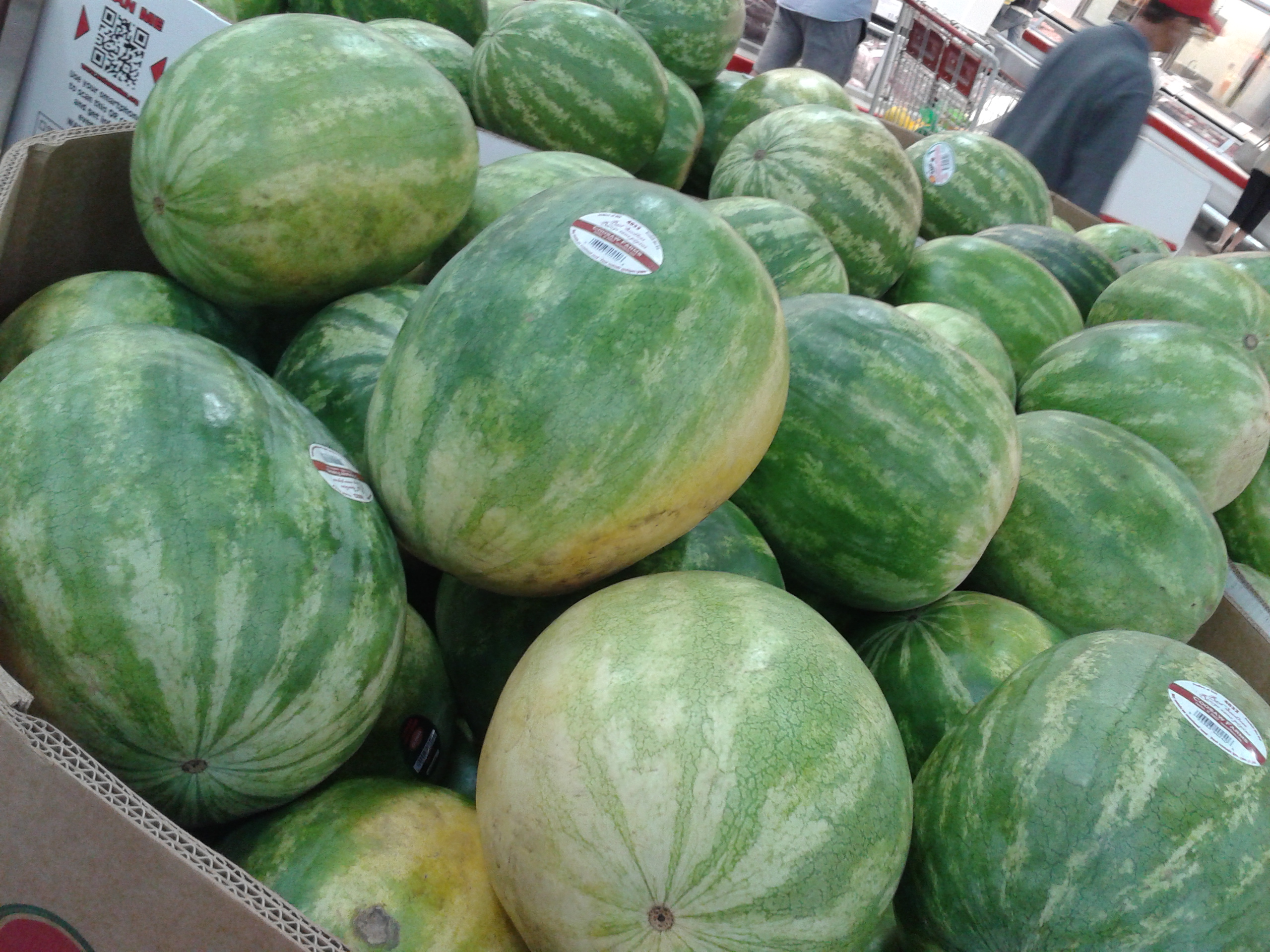 Costco Watermelons